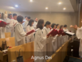 Agnus Dei (Rev. J. E. Tuner) - 2024년 12월 24일 주님 성탄 대축일 밤미사