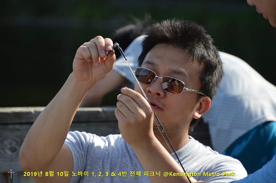 Novi-PicnicDSC_1440.JPG